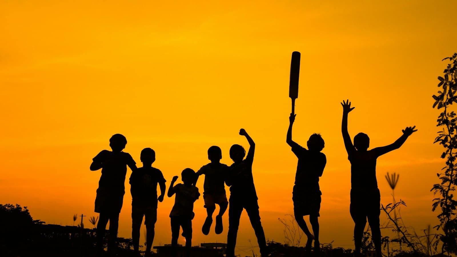 A group of friends celebrating with a raised bat, silhouetted against an orange sunset