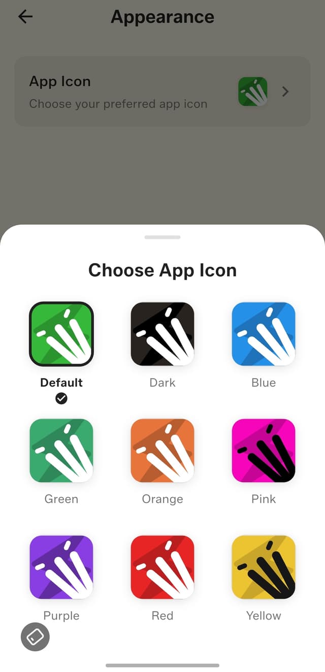 Choose your app icon — nine styles to pick from