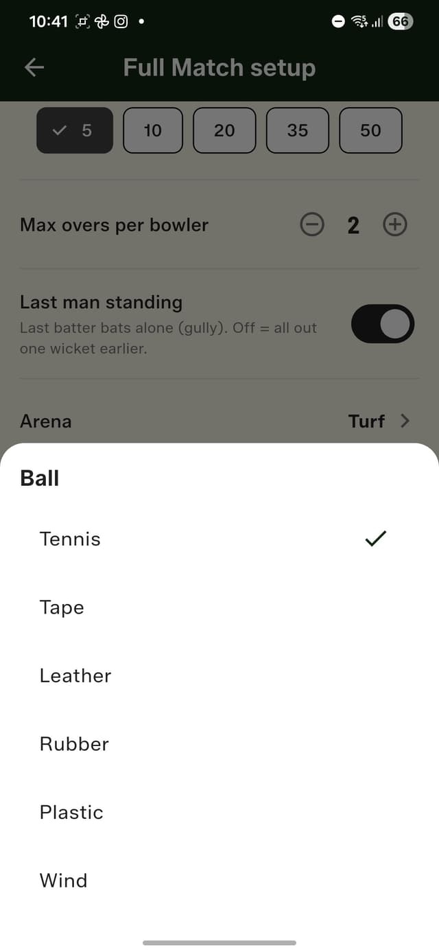 Ball type picker