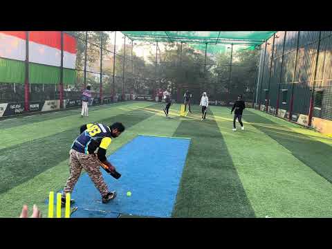 No LBW in turf cricket