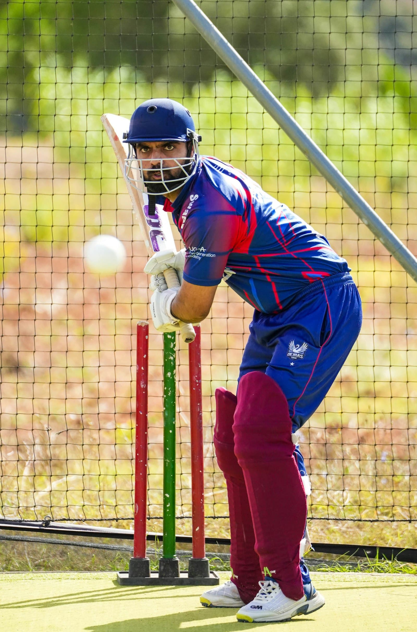 A helmeted batter watches the ball onto the bat in the nets