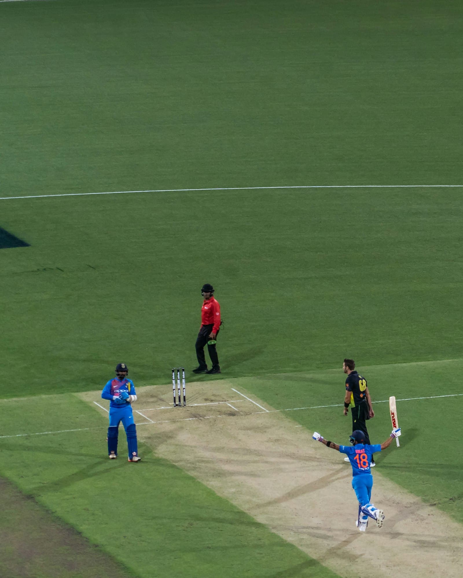 Fielders celebrate a wicket in the middle of a green cricket pitch