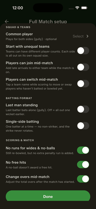 The categorised Gully Rules sheet — no runs for wides & no-balls, no free hits and change overs mid-match, alongside the classics